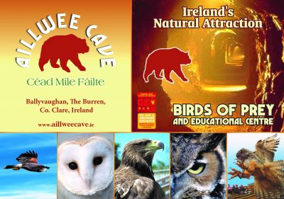 Burren Birds of Prey Centre Galway